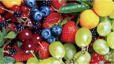 images – 2019-11-19T221452.874